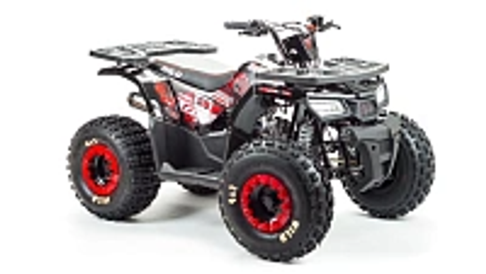 Квадроцикл PROMAX WILD 175