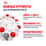 Royal Canin Mini Puppy Мини Паппи Корм влажный для щенков мелких пород в возрасте до 10 месяцев соус 85г