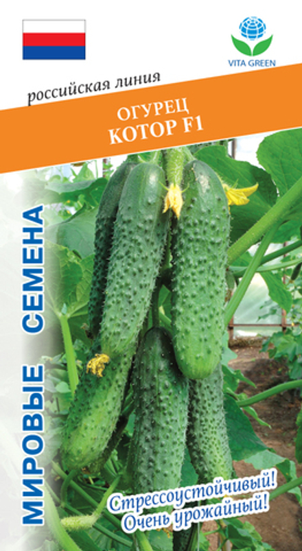 Огурец Котор F1 7шт Мировые Семена VITA GREEN