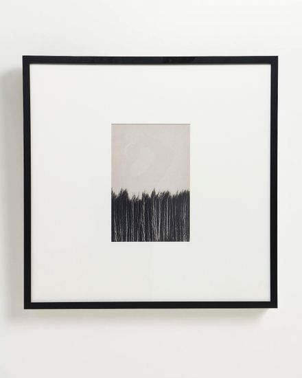 Интерьерный постер “Forest”
