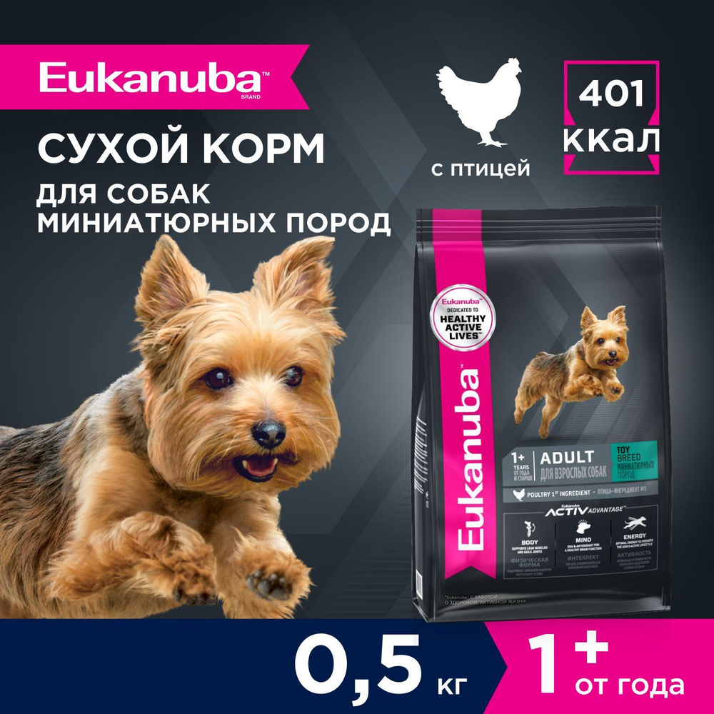 Сухой корм Eukanuba Adult Toy Breed 1+ years для взрослых собак миниатюрных пород с курицей 500 г