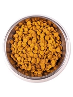 Monge (Монж) Cat PFB Daily Line Indoor для домашних кошек с Курицей, 10 кг.