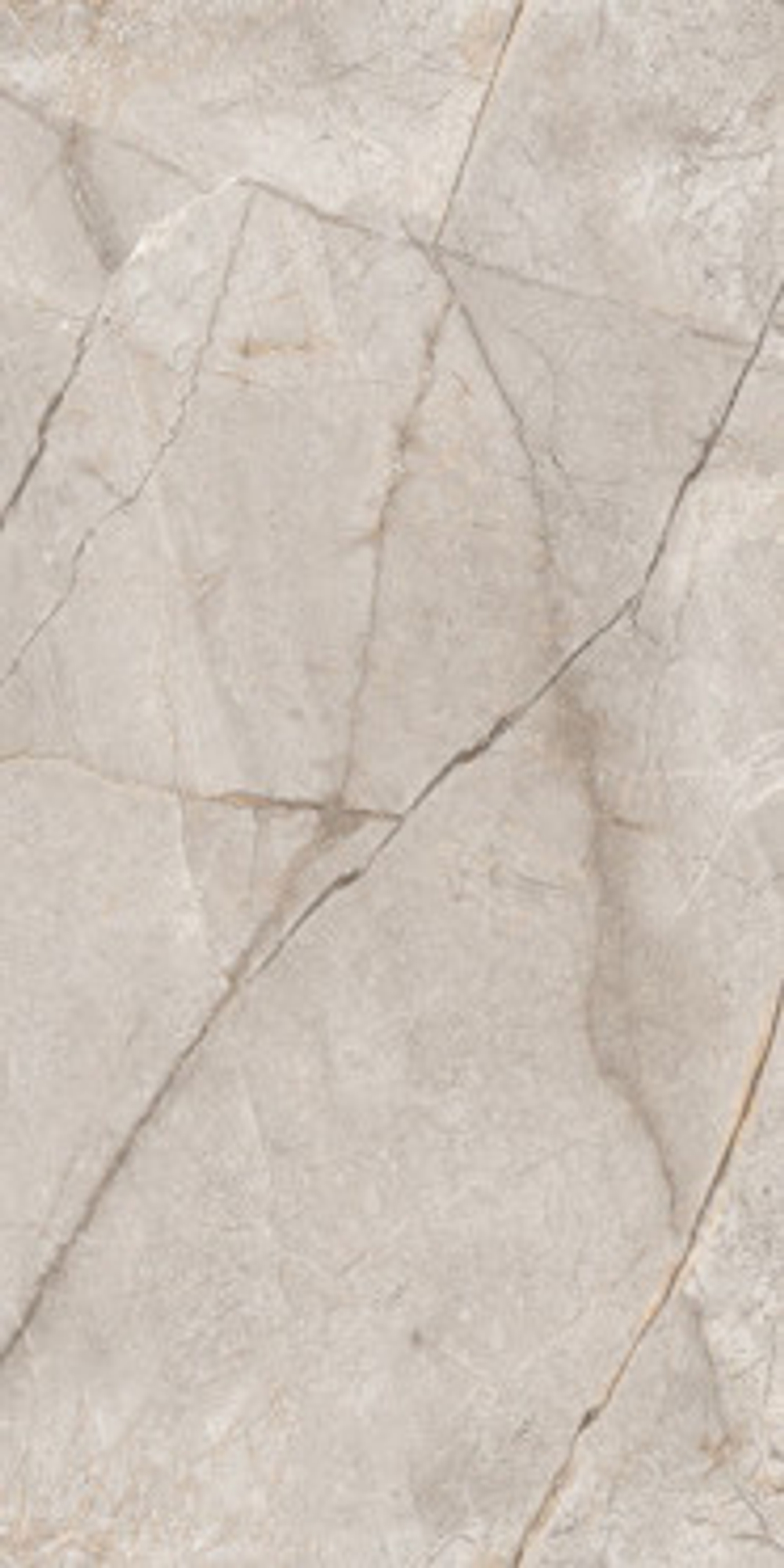 Керамогранит Marble Silver Stone Carving (N80016) 60x120 от Neodom (Индия)