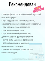 Revilab SL-09 для мужского организма