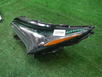 DSCN7881.JPG