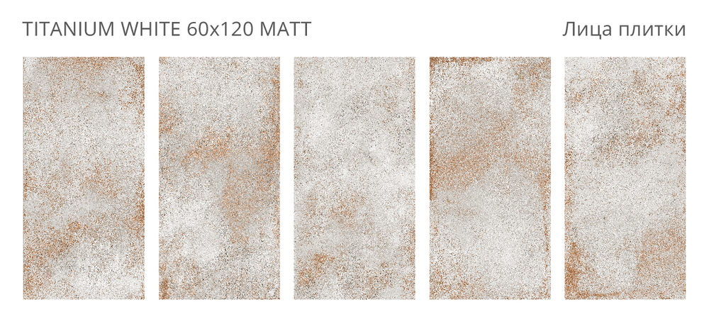 TITANIUM WHITE 60x120 MATT