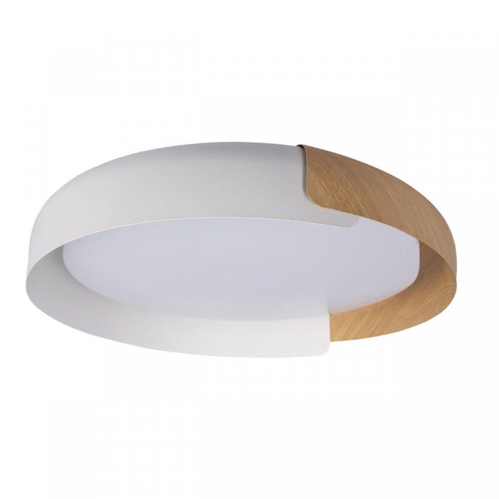 Потолочный светодиодный светильник Loft It Coin 10198 White