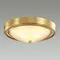 Потолочный светильник Nina 5259/2C Lumion