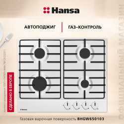 Газовая панель Hansa BHGW630301