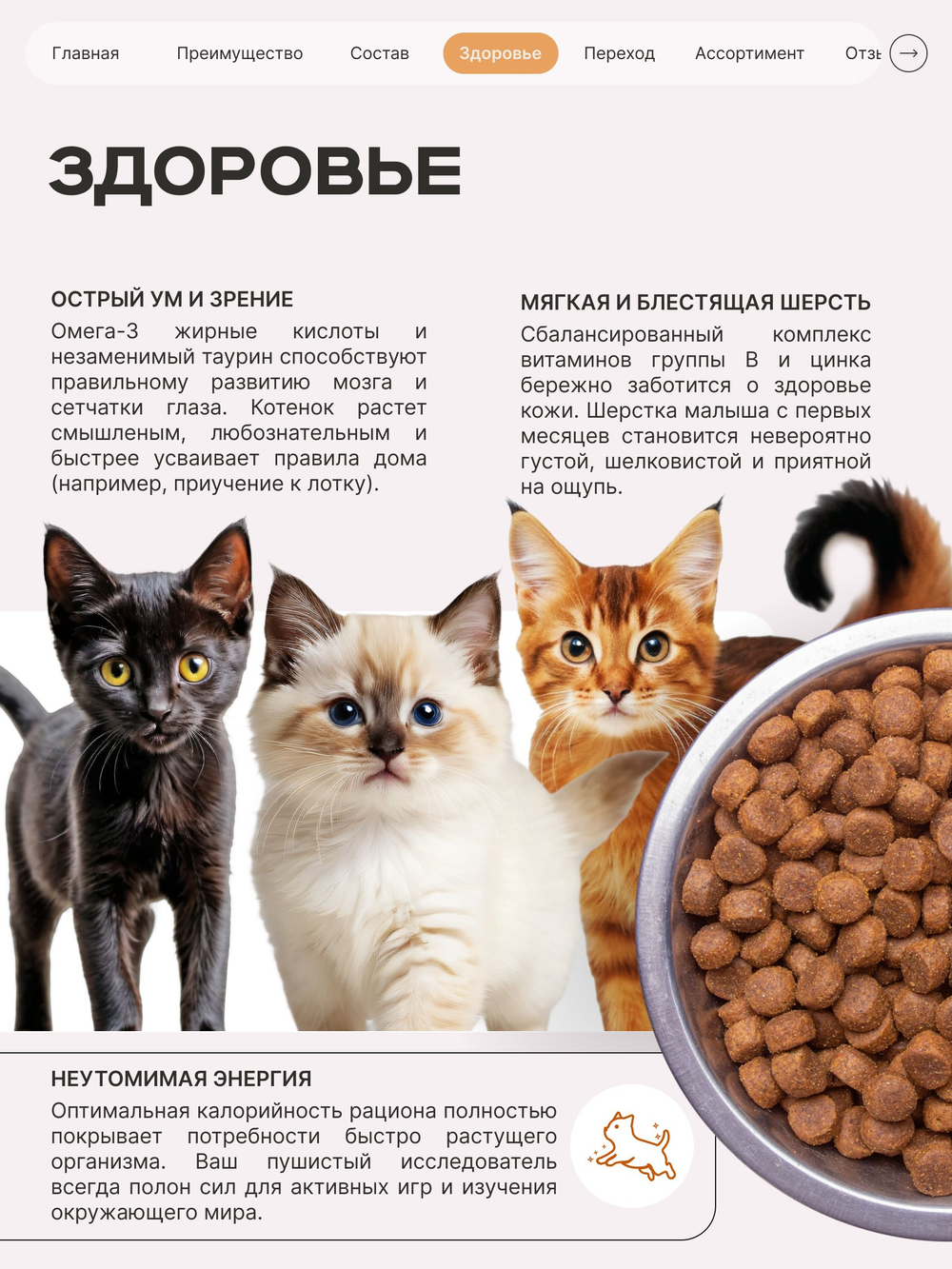 Корм сухой для котят породы Сфинкс, с индейкой, 2кг, QUATTRO