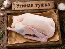 Утиная тушка замороженная