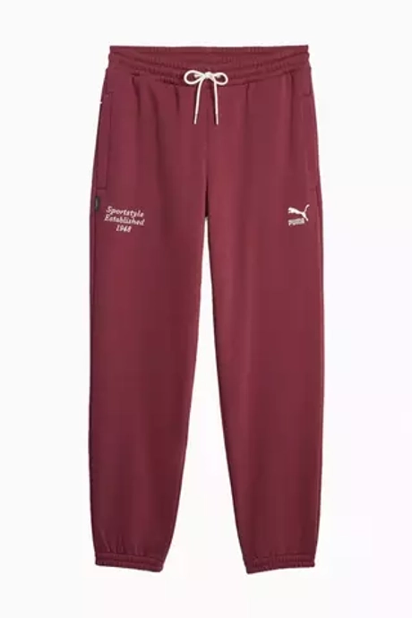 Штаны Puma Team