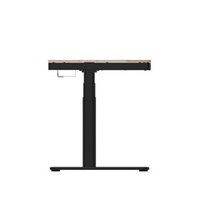 Стол для компьютера с электроприводом, QI-зарядкой и USB-портами FoxGear LIFTISCH FG-ED-55B