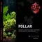 Jent x Sarko Zy - Follar (200г)