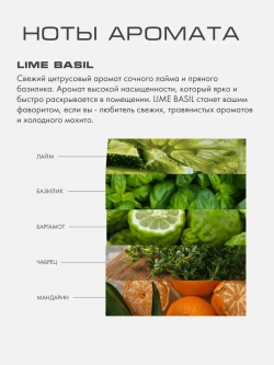 Диффузор Лайм Базилик (Lime Basil) L