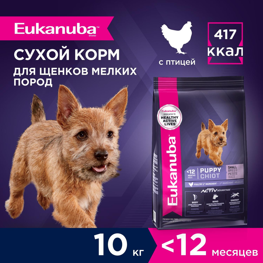 Сухой корм Eukanuba Puppy Small Breed <12 months для щенков мелких пород с курицей 10 кг
