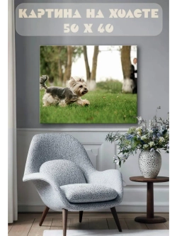 Картина на стену 40 X 50 Йоркширский терьер