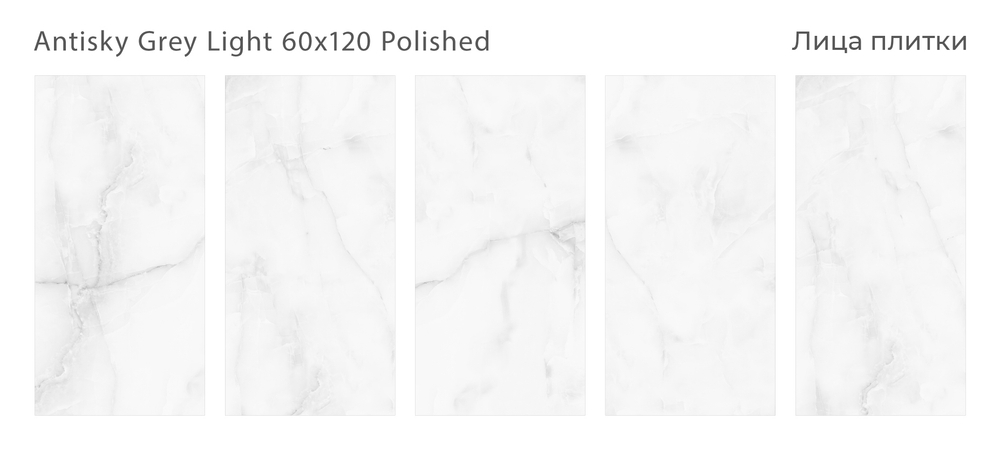 ANTISKY GREY LIGHT 60x120 POLISHED