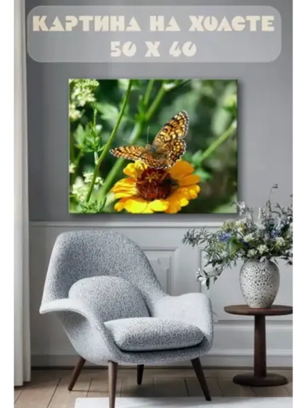 Картина на стену 40 X 50 Бабочка