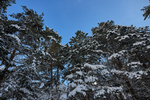 Объектив Sigma 15mm f/1.4 DC Contemporary Fujifilm X