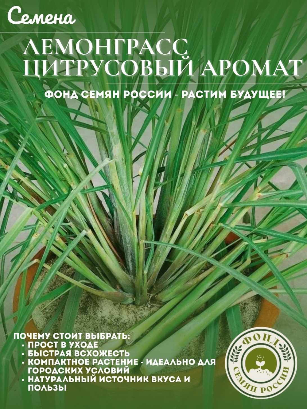 Набор семян для посадки, Петрушка, 5-ти сортов, 10гр. семян.