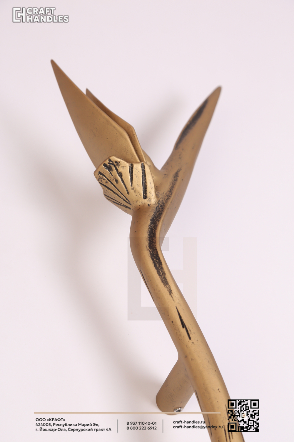 STRELITZIA
