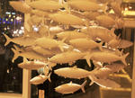 люстра School of Fish by Scabetti