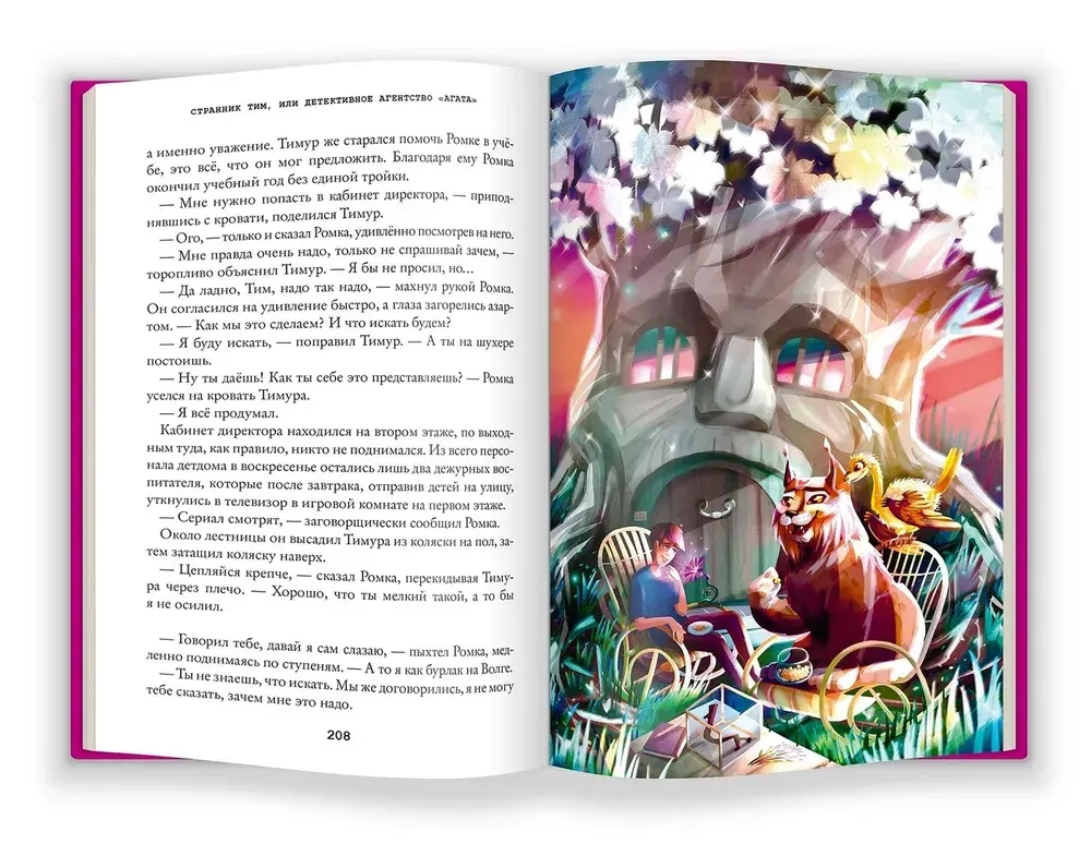 Странник Тим, или Детективное агентство "Агата"