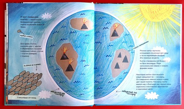 История жизни. Моя первая книга об эволюции