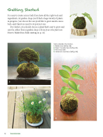 Moss Ball Bonsai: 100 Simple Kokedama Gardens That Are Easy and Fun to Make