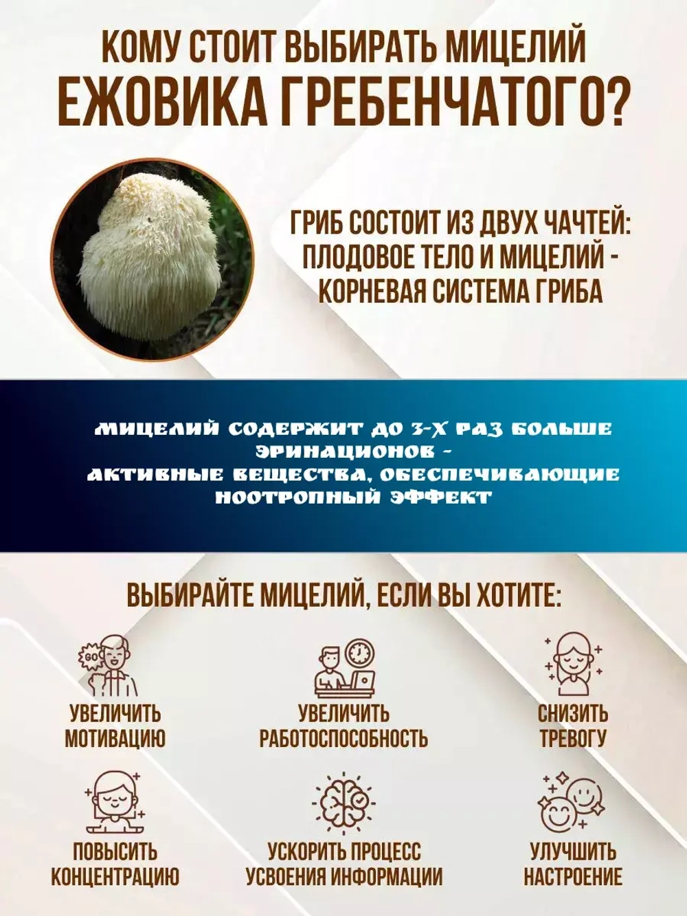 Ежовик Гребенчатый в порошке 1000 грамм. Мицелий и Плодовое тело. Hericium Erinaceus, Львиная Грива.