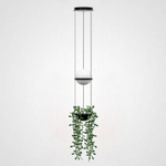 Подвесной светильник Imperiumloft Palma Wall Lamp 22.93727