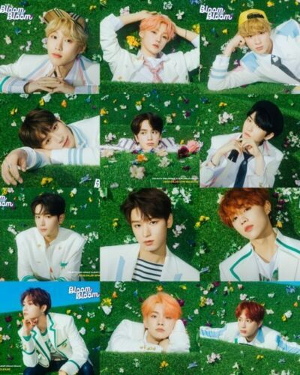 Альбом The Boyz - Bloom Bloom 2nd Single Album 2 Version SET