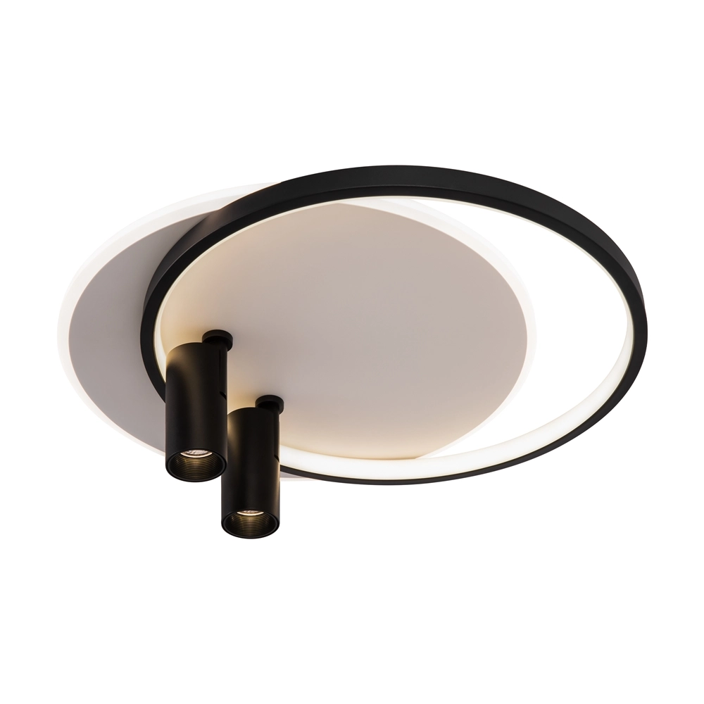 Потолочный светодиодный светильник Freya Spotlights FR6083CL-L106WB