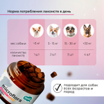 Функциональное лакомство Favet SuperFlora Soft Chews для пищеварительной системы для собак, 120г