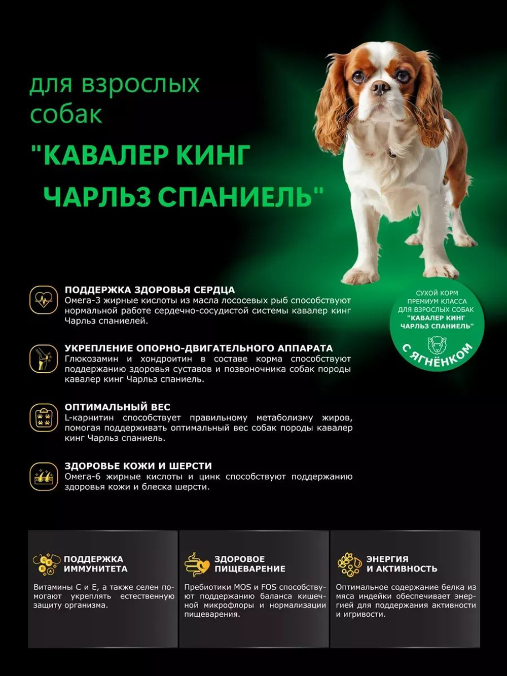 Корм сухой для взрослых собак породы Кавалер кинг Чарльз спаниель, с ягненком, 800 гр, QUATTRO