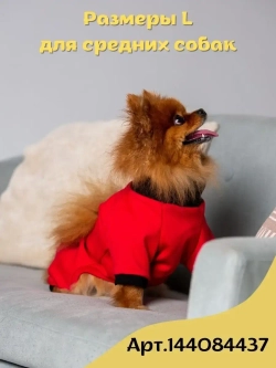 Комбинезон для собак кошек сфинкс кофта костюм для животных