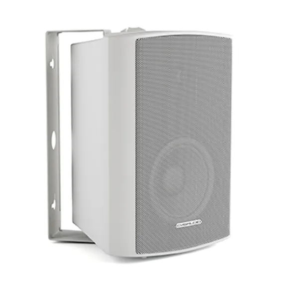 CVGAUDIO NF5TW настенная акустическая система