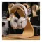 Bose QuietComfort Ultra White Smoke