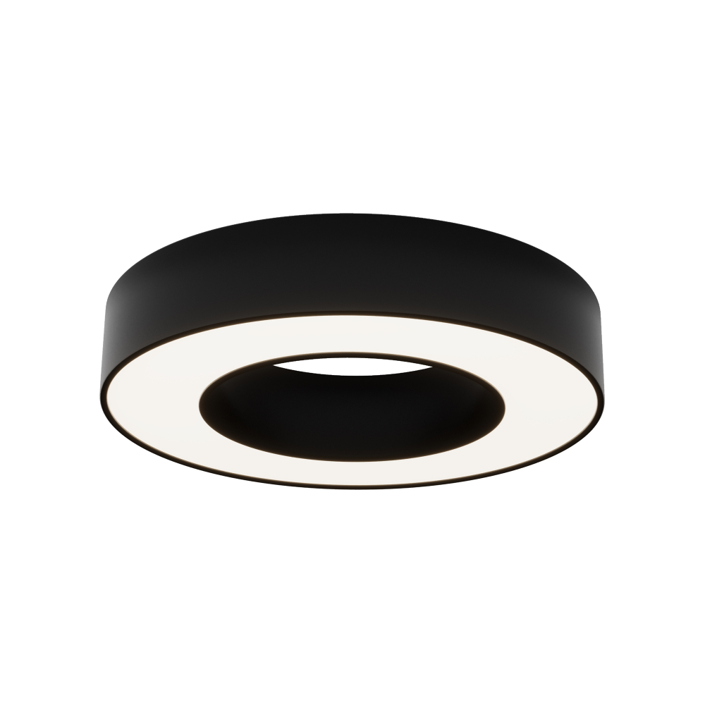 Потолочный светильник Technical C093CL-24W4K-B