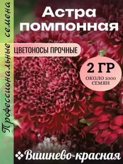 Семена Астра помпонная Вишнево-красная 2 грамма