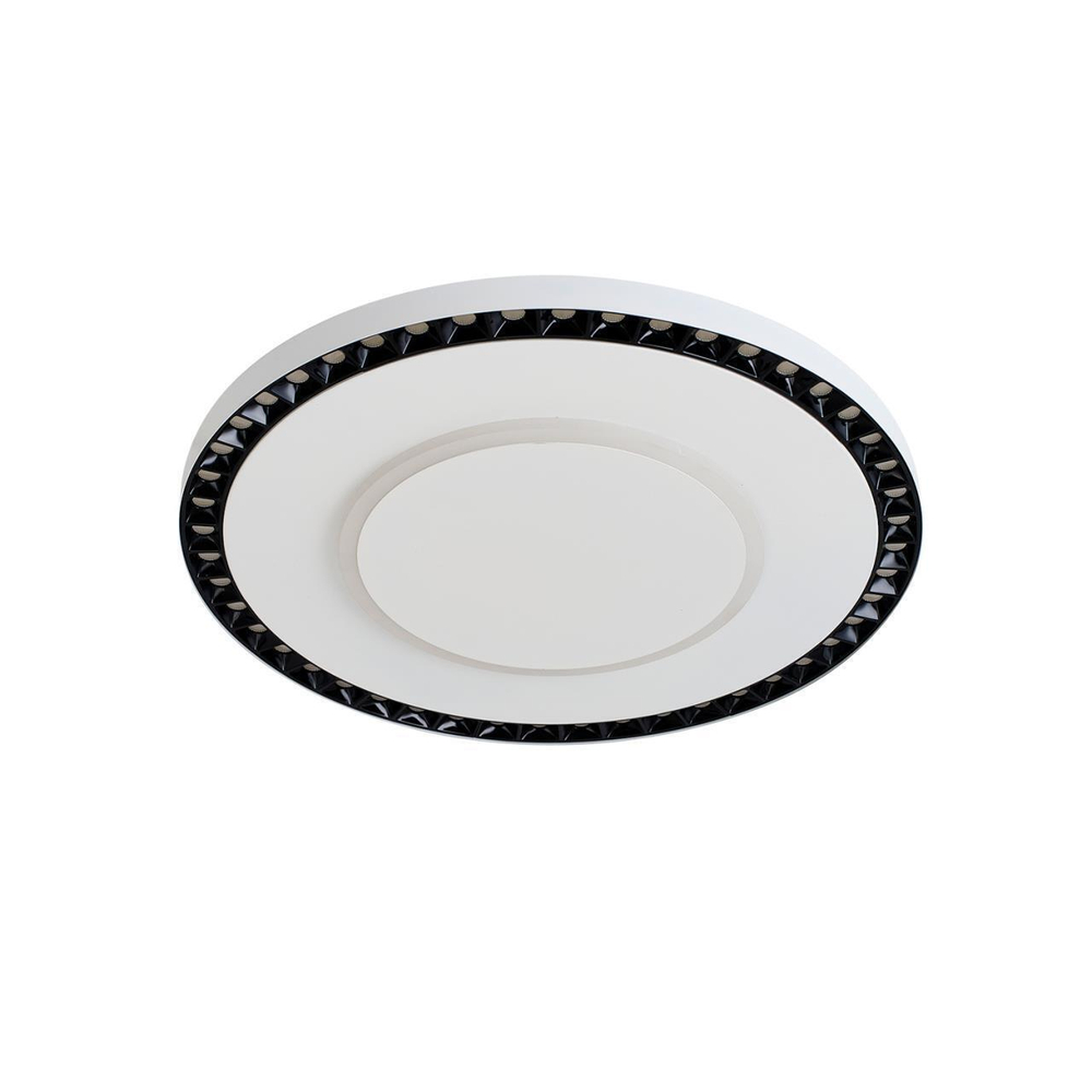 Потолочный светодиодный светильник F-Promo Skiva 4432-1C