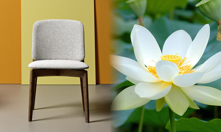 LOTUS