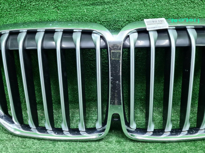 Решетка радиатора BMW X7 G07 (2019-2022)