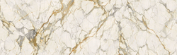 Golden Francesca Shape Ink 120x300