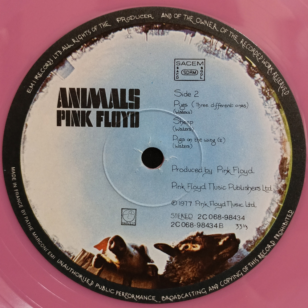 Pink Floyd / Animals (Limited Edition)(Coloured Vinyl)(LP)