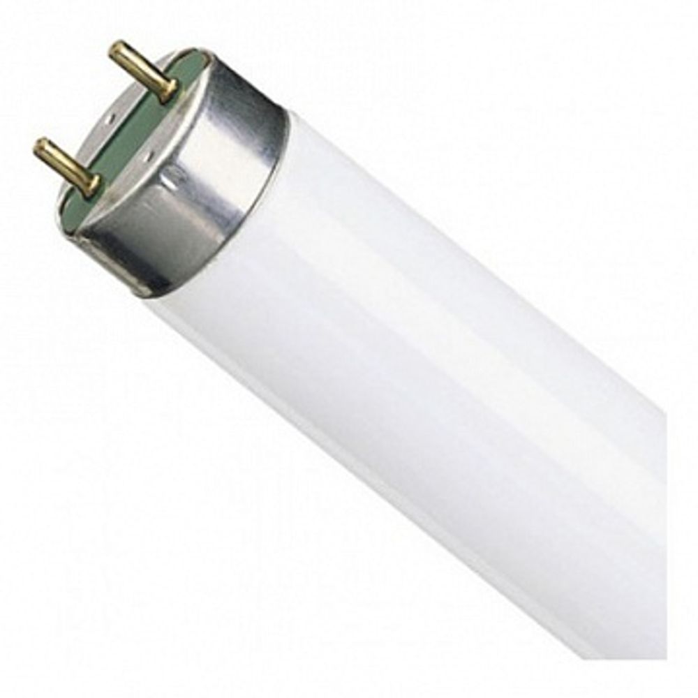 Люминесцентная лампа OSRAM L 36W/765 G13