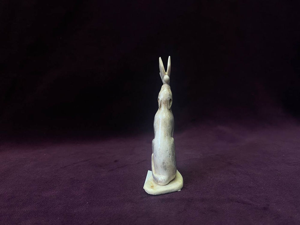 Кот с бабочкой