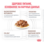 Royal Canin Gastrointestinal Moderate Calorie Гастроинтестинал Модерейт Кэлори Корм влажный диета для кошек склонных к набору веса соус 85г