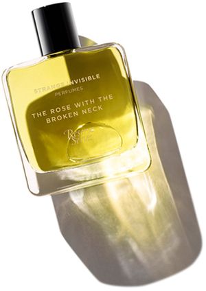 Strange Invisible Perfumes The Rose With The Broken Neck